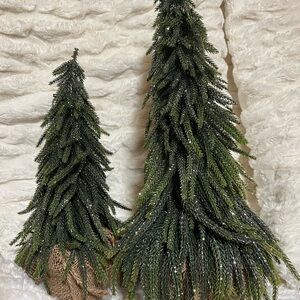 Whimsical Green Holiday Norfolk Pine Trees/Sparkle